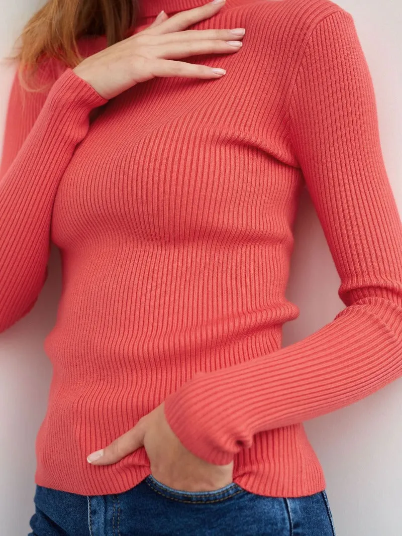 Becka Turtleneck Slim Women Sweater