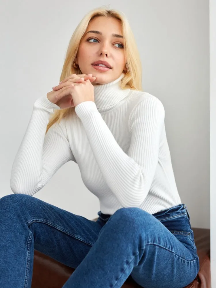Becka Turtleneck Slim Women Sweater