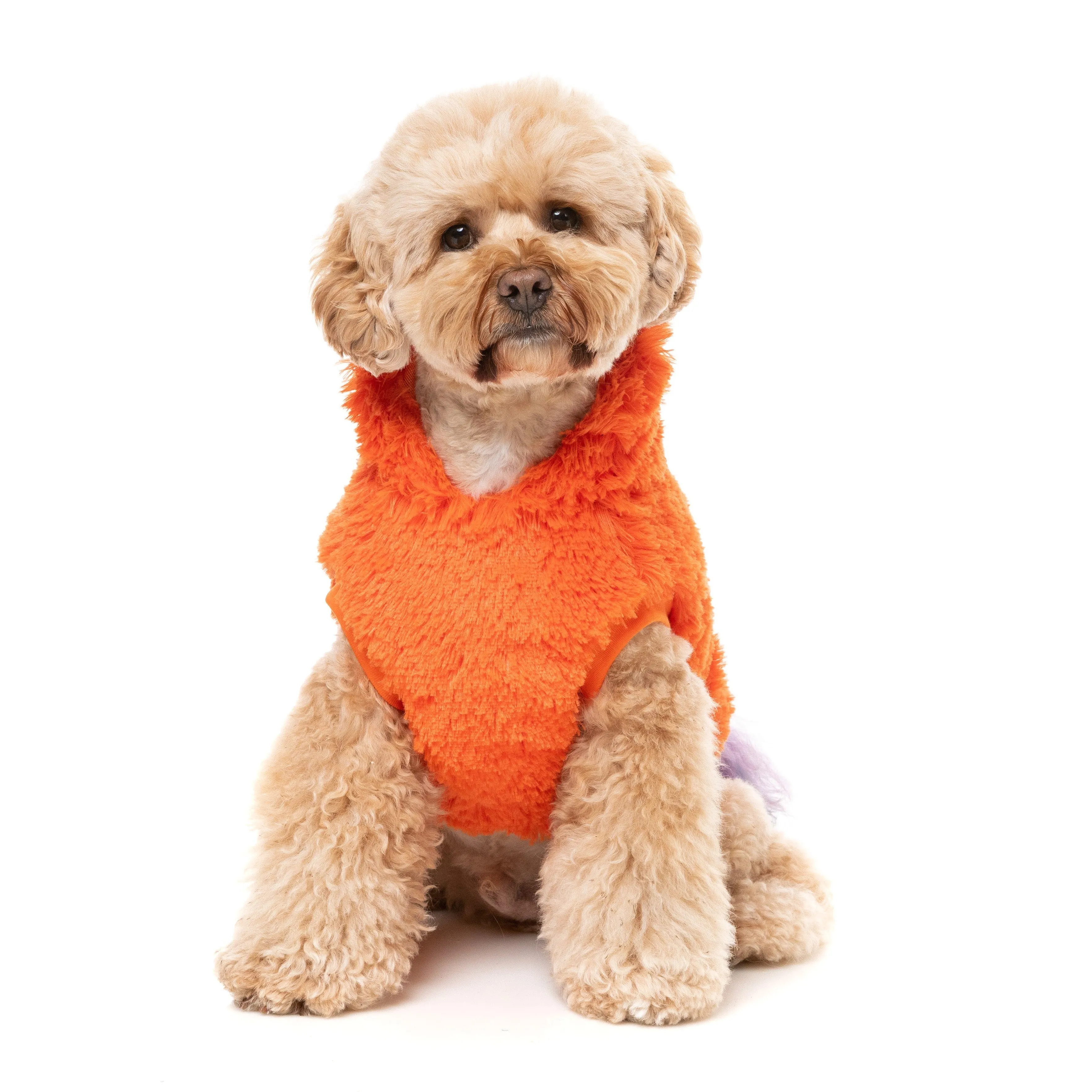 FuzzYard Halloween Dog Apparel Pumpkin Head Hoodie Size 1