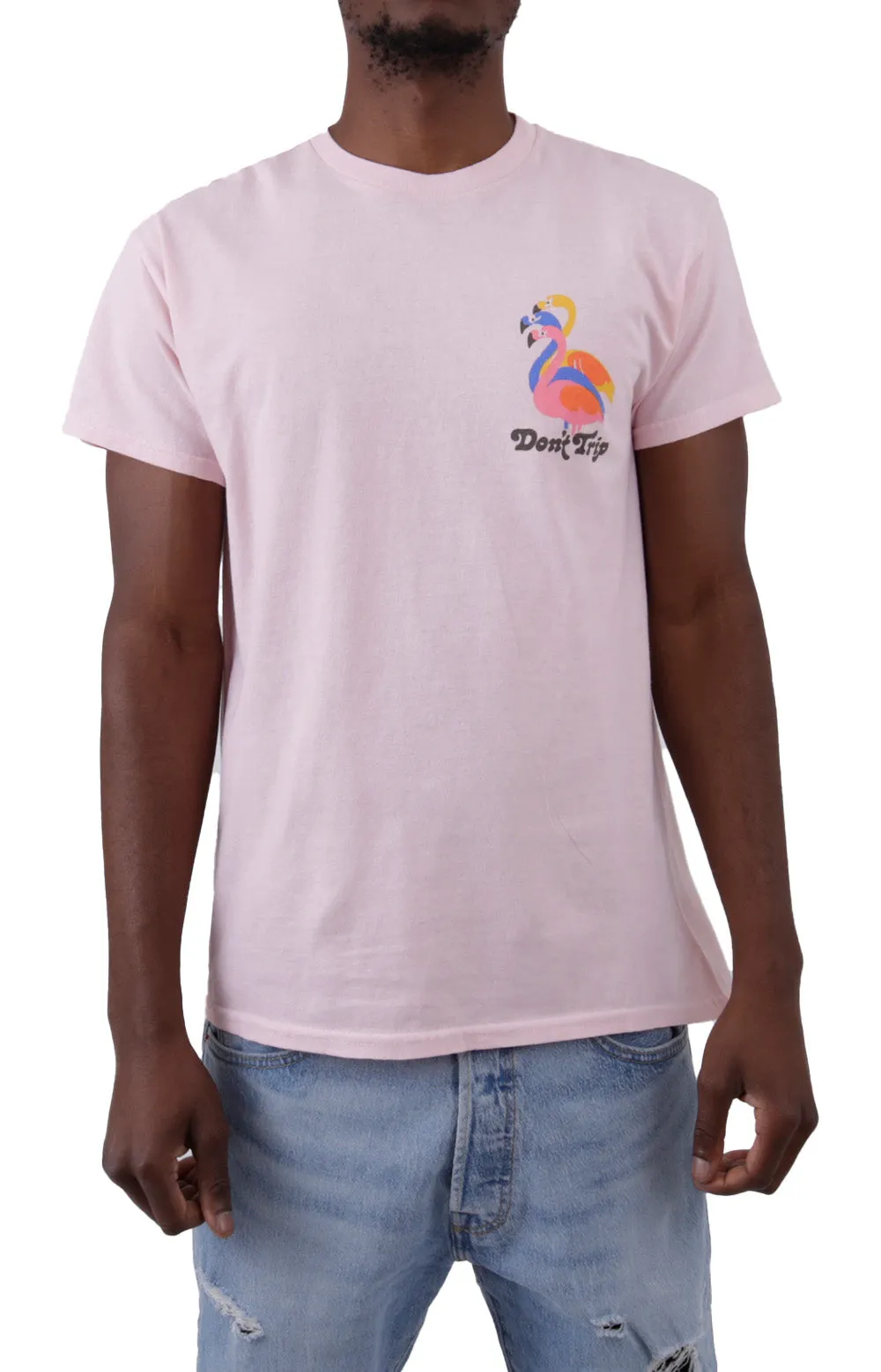Vintage Flamingos Tee - Soft Blush